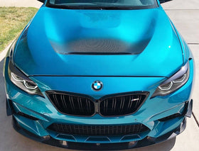 F87 M2 Competition Carbon Fiber Front Lip