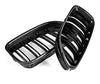 BMW F06/F12/F13 Carbon Double-Slat Grille